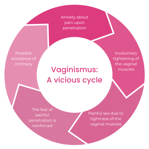 Overcome Vaginismus and Reclaim Your Sexuality: Your Roadmap to ...